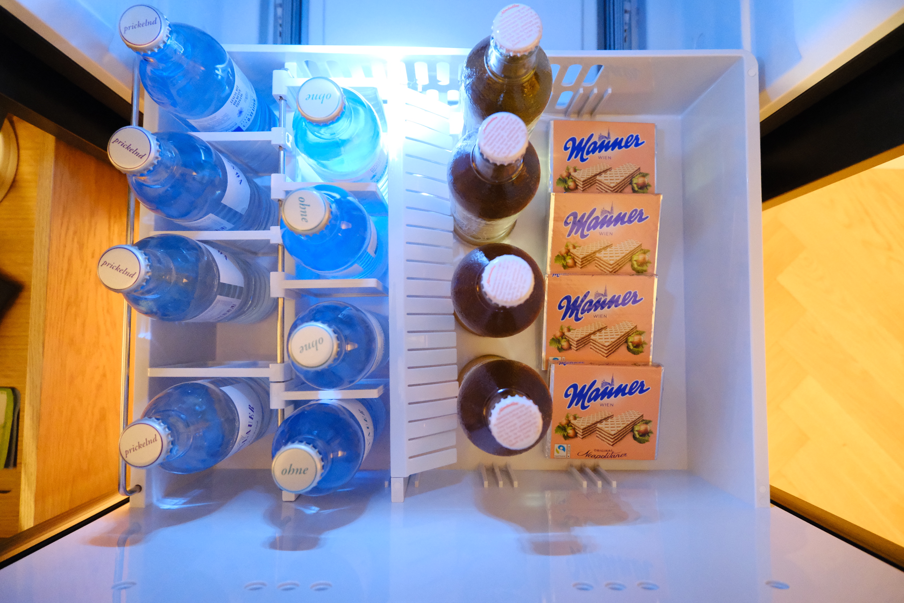 Mini Fridge