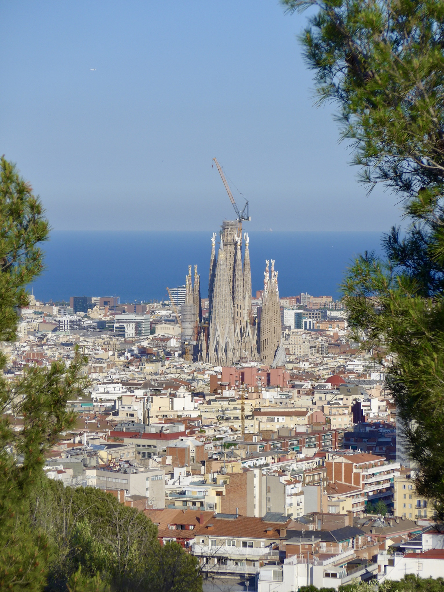 park guell overlooking sagrada familia