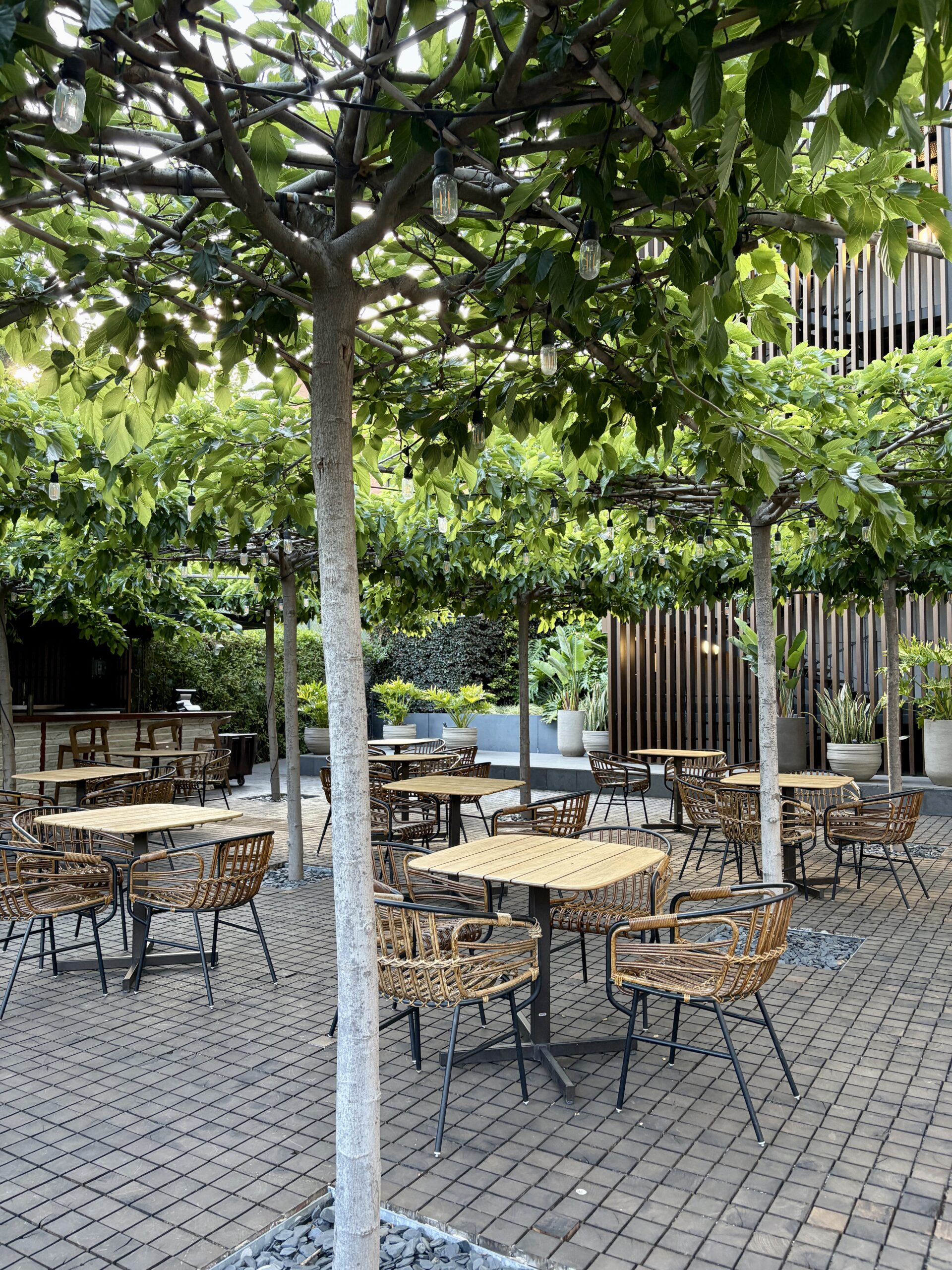 Pool side social area