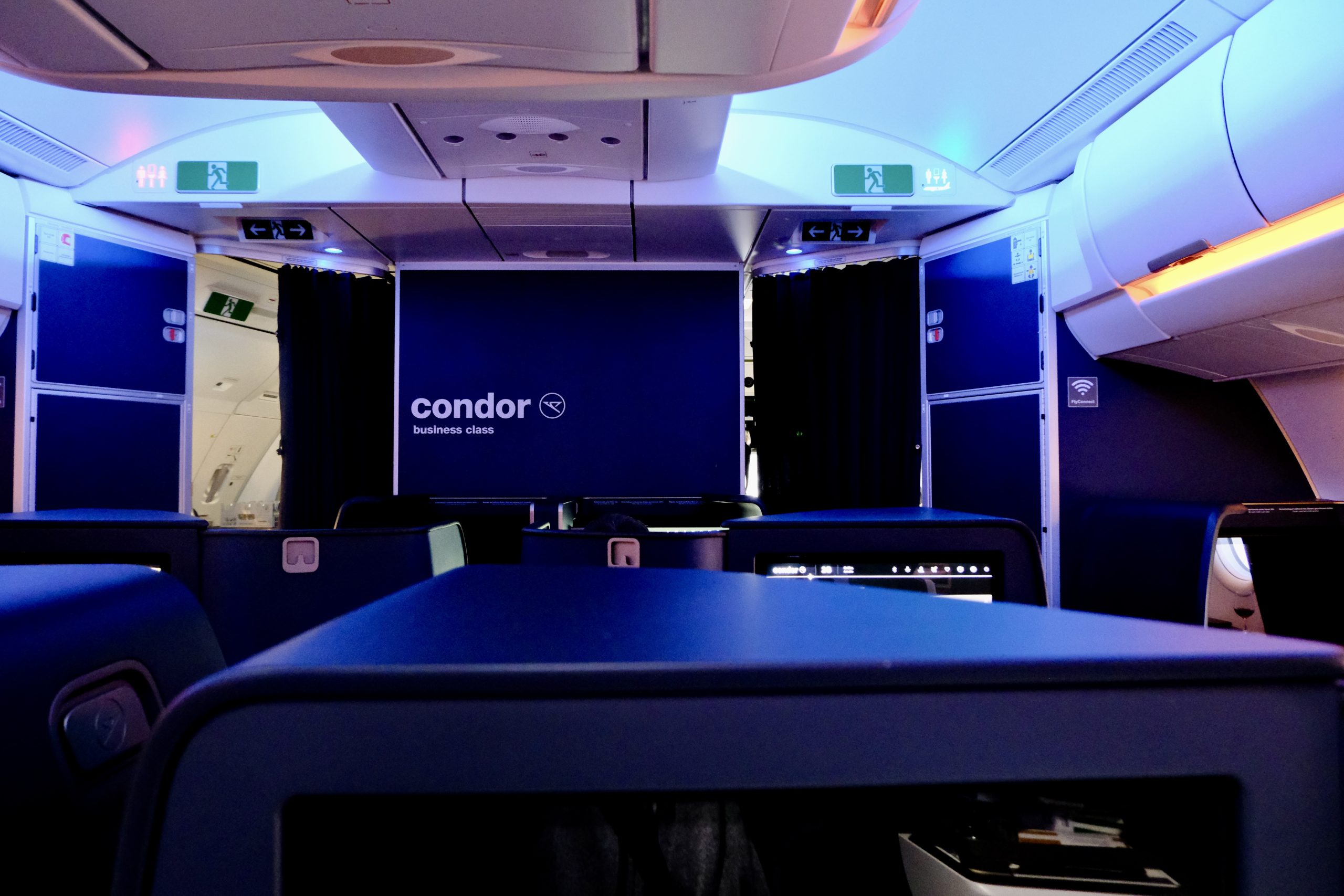 Condor business-class cabin looking forward to the branded bulkhead, blue mood lighting, and staggered seats.