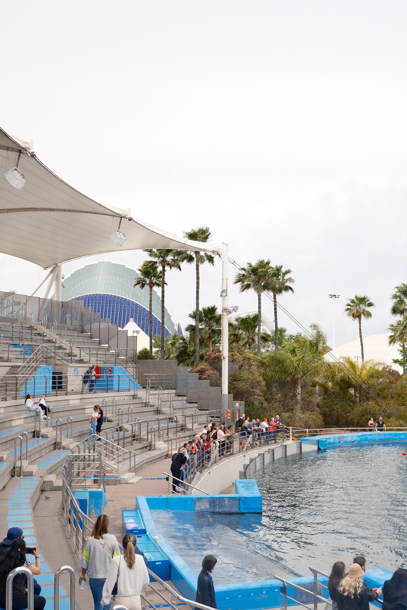 Oceanogràfic Valencia - Dolphinarium