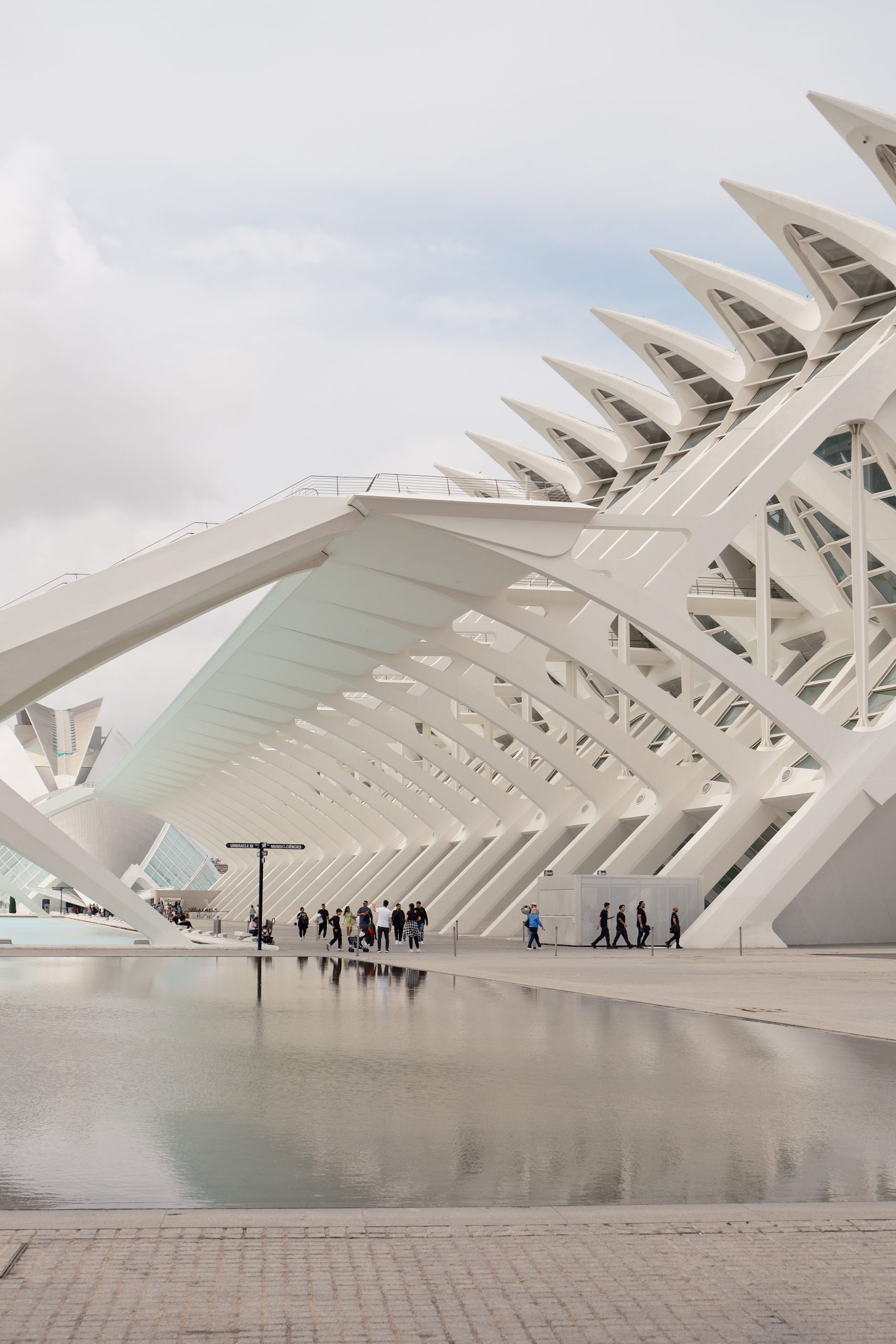 City of Arts and Sciences