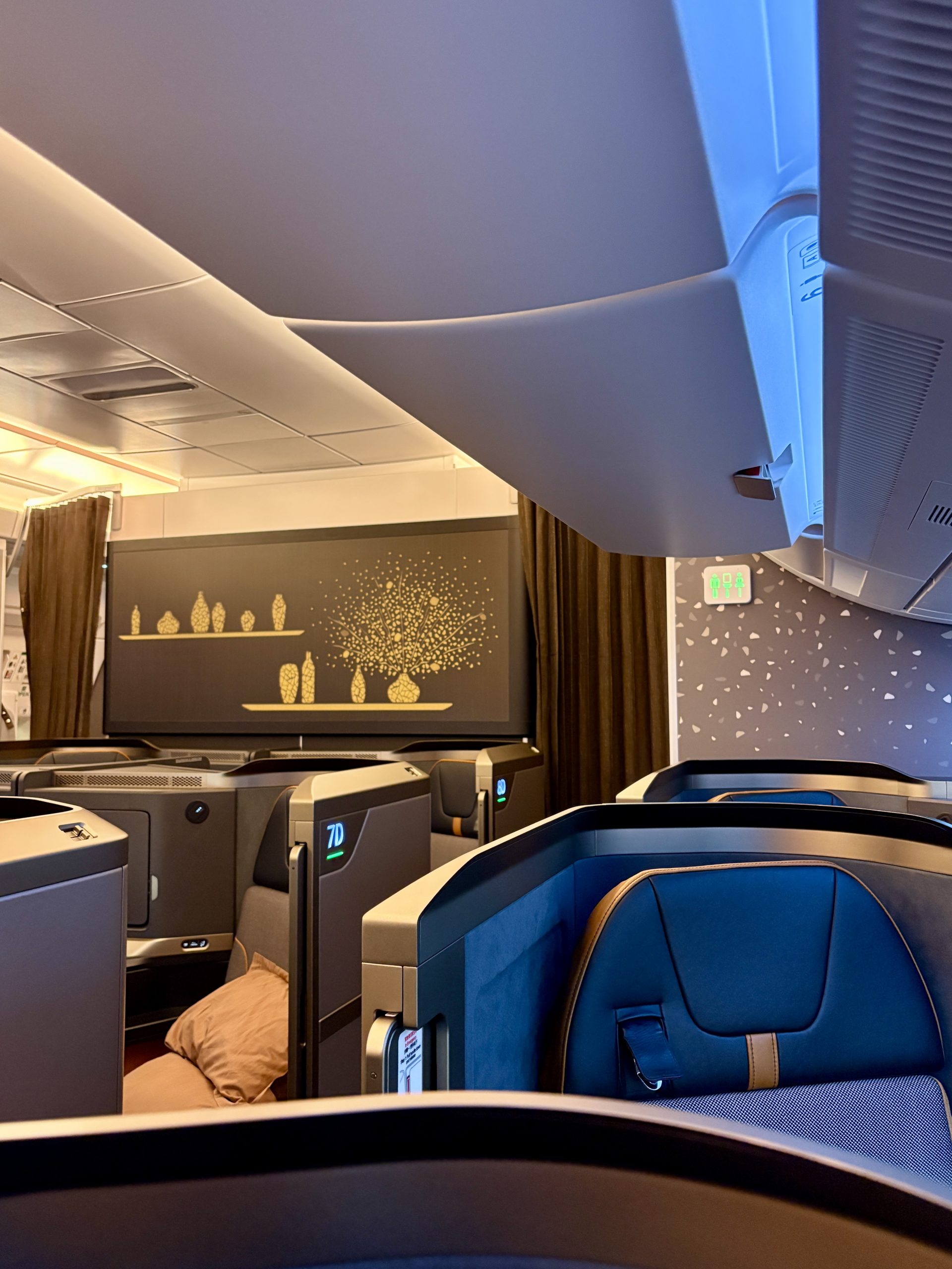 Individual business seats laid out in 1-2-1 config