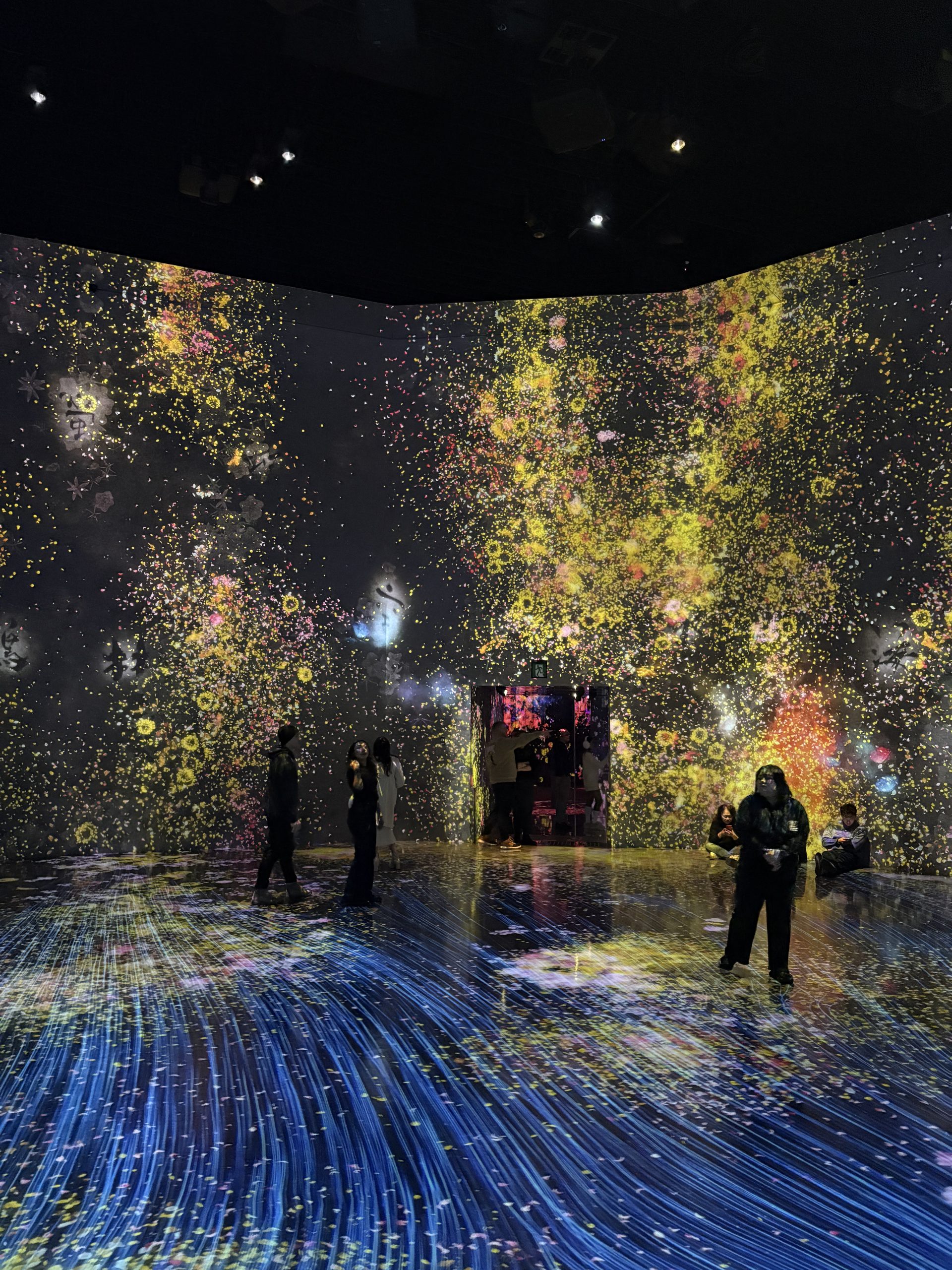 teamLab Borderless
