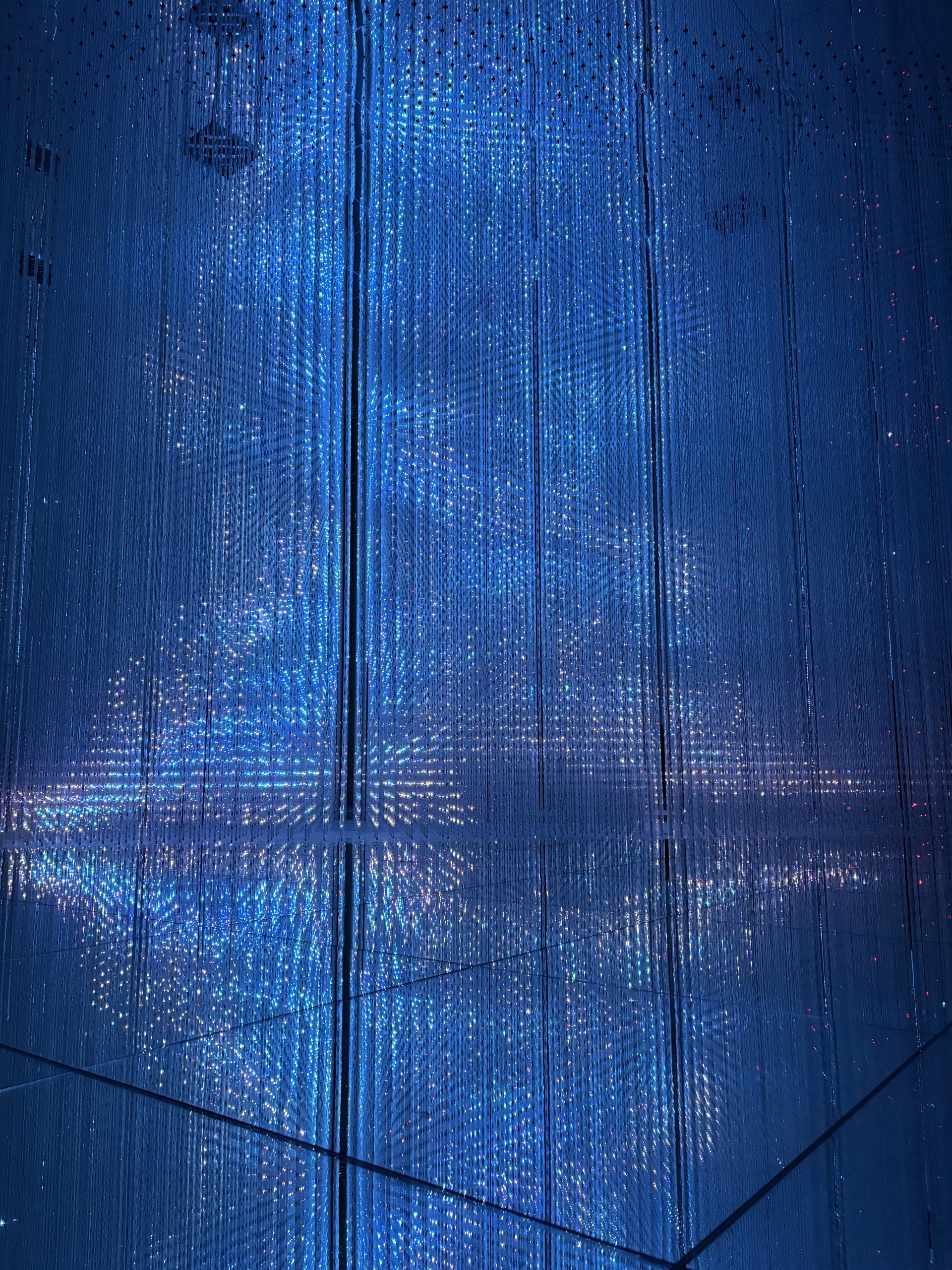 teamLab Borderless