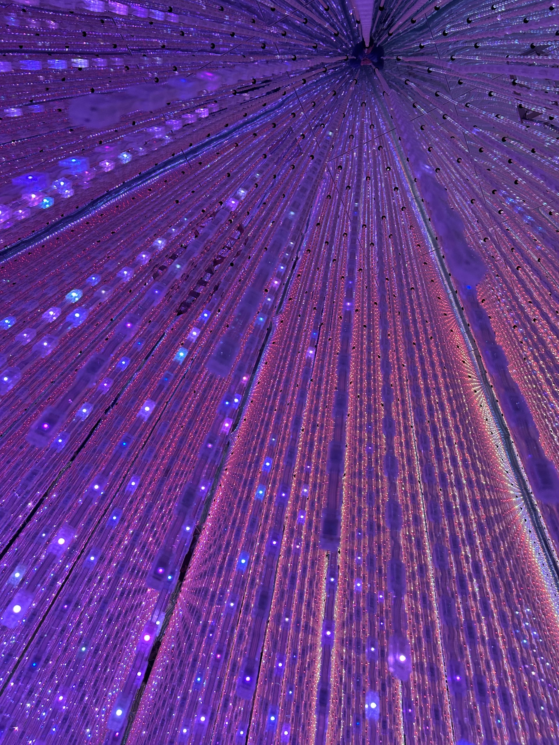 teamLab Borderless