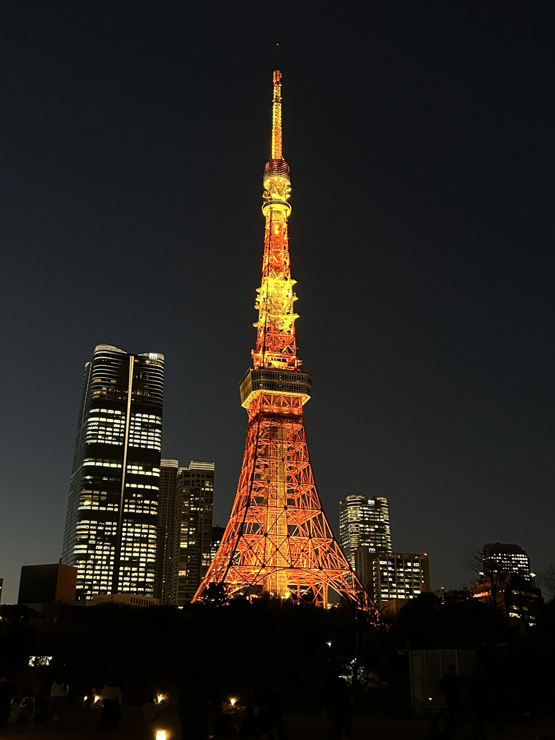 Tokyo Tower lit orange at night, framed by lit skyscrapers and silhouetted trees.
