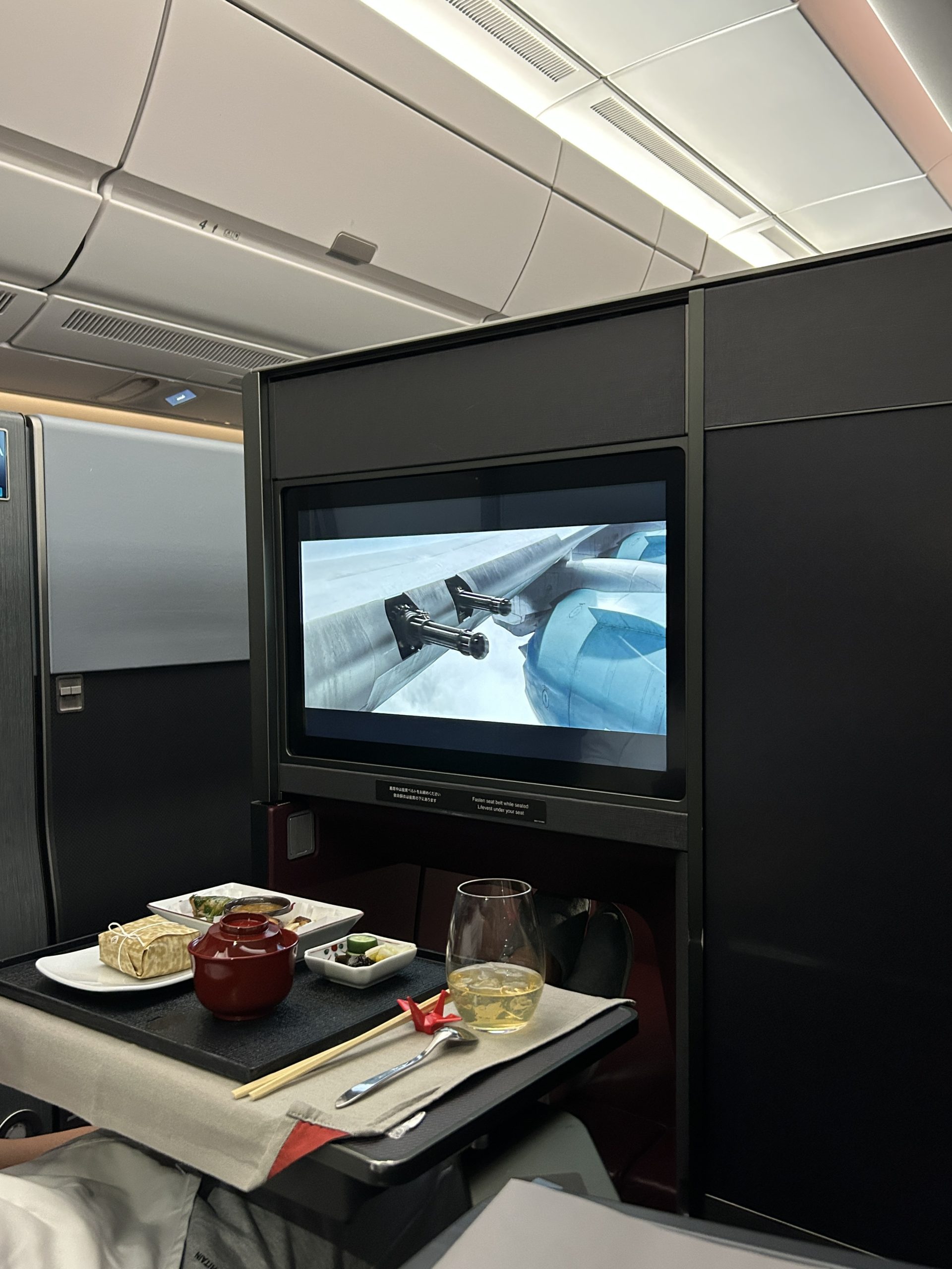 Dinner & Entertainment on the flight