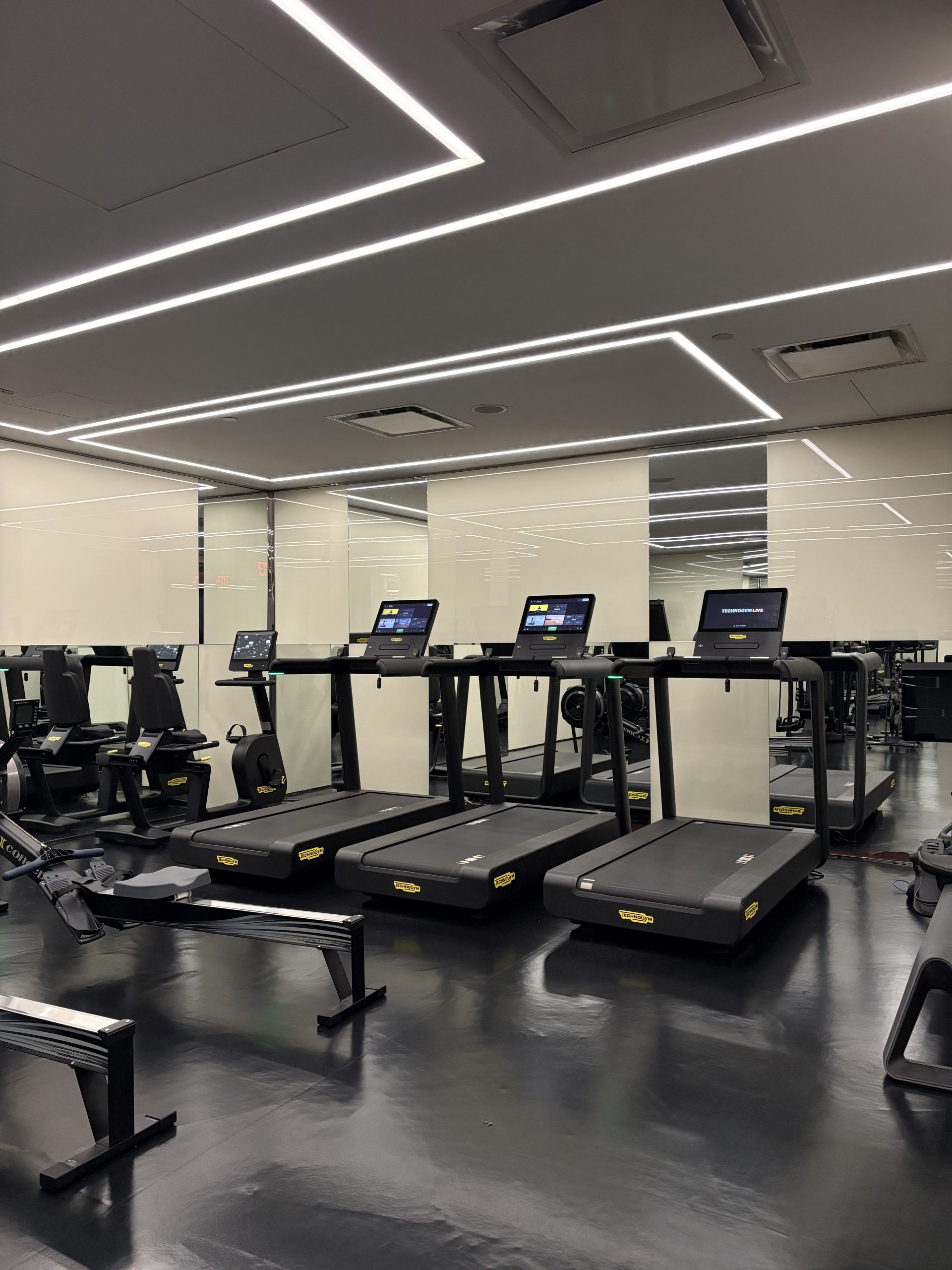 Cardio machines in the gym