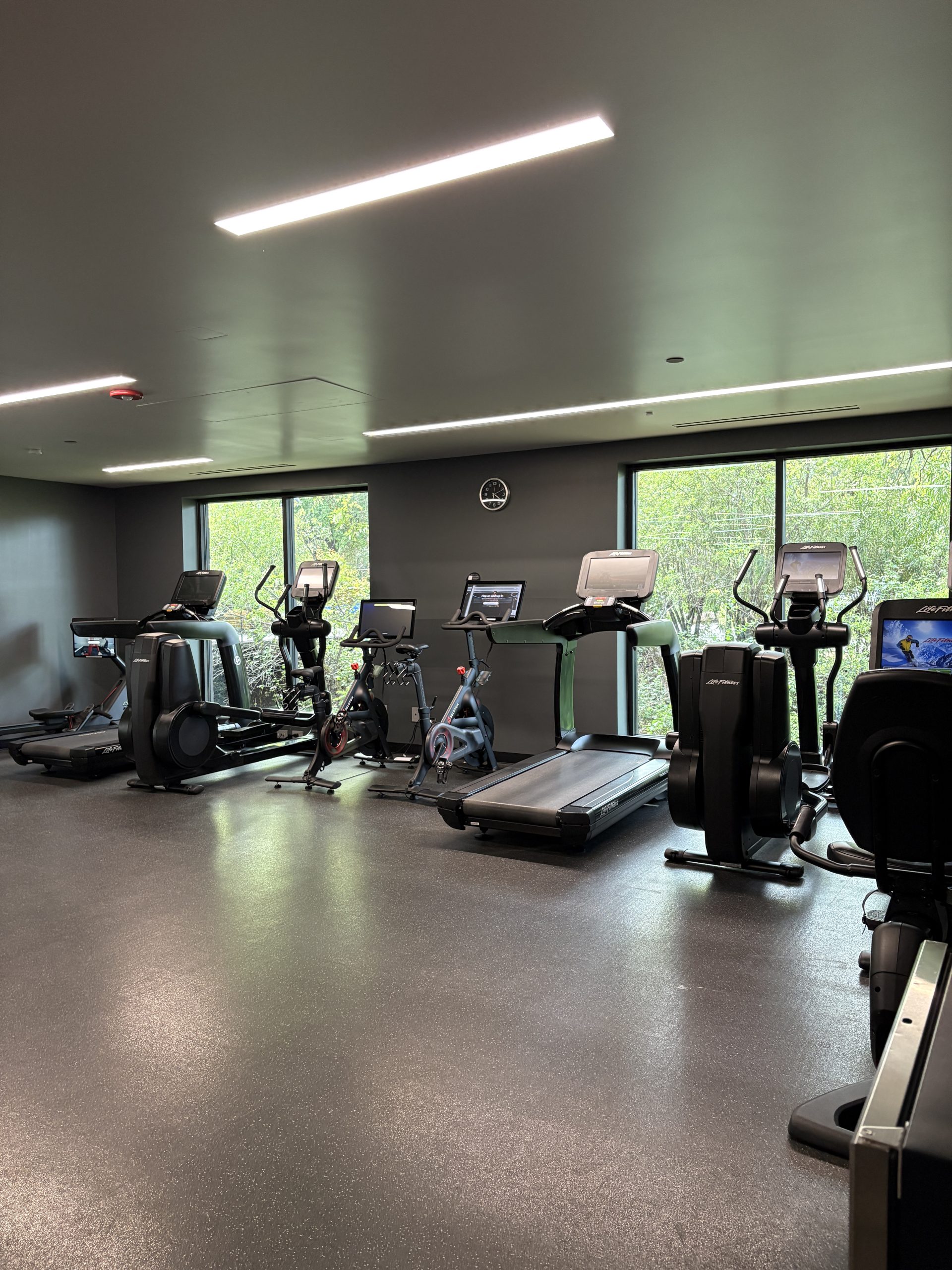 Cardio machines facing the creek at the gym