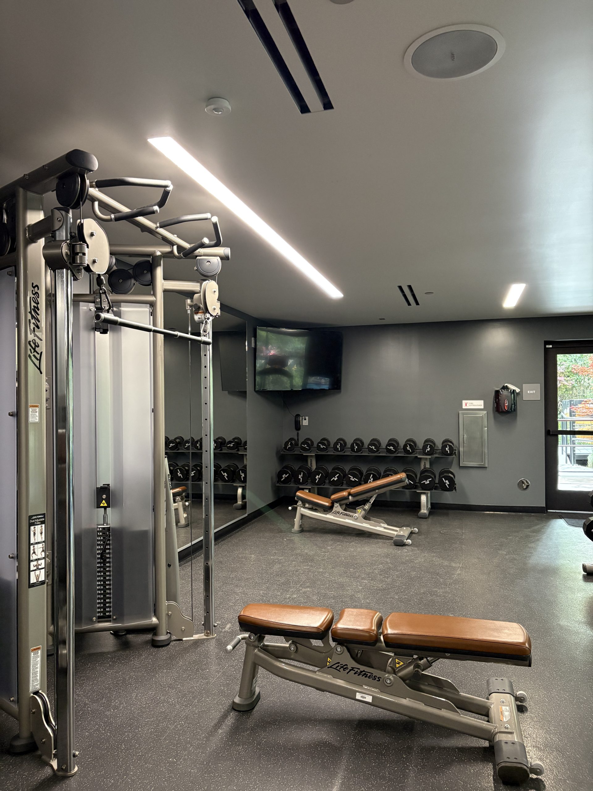 Free weights and machine at the gym