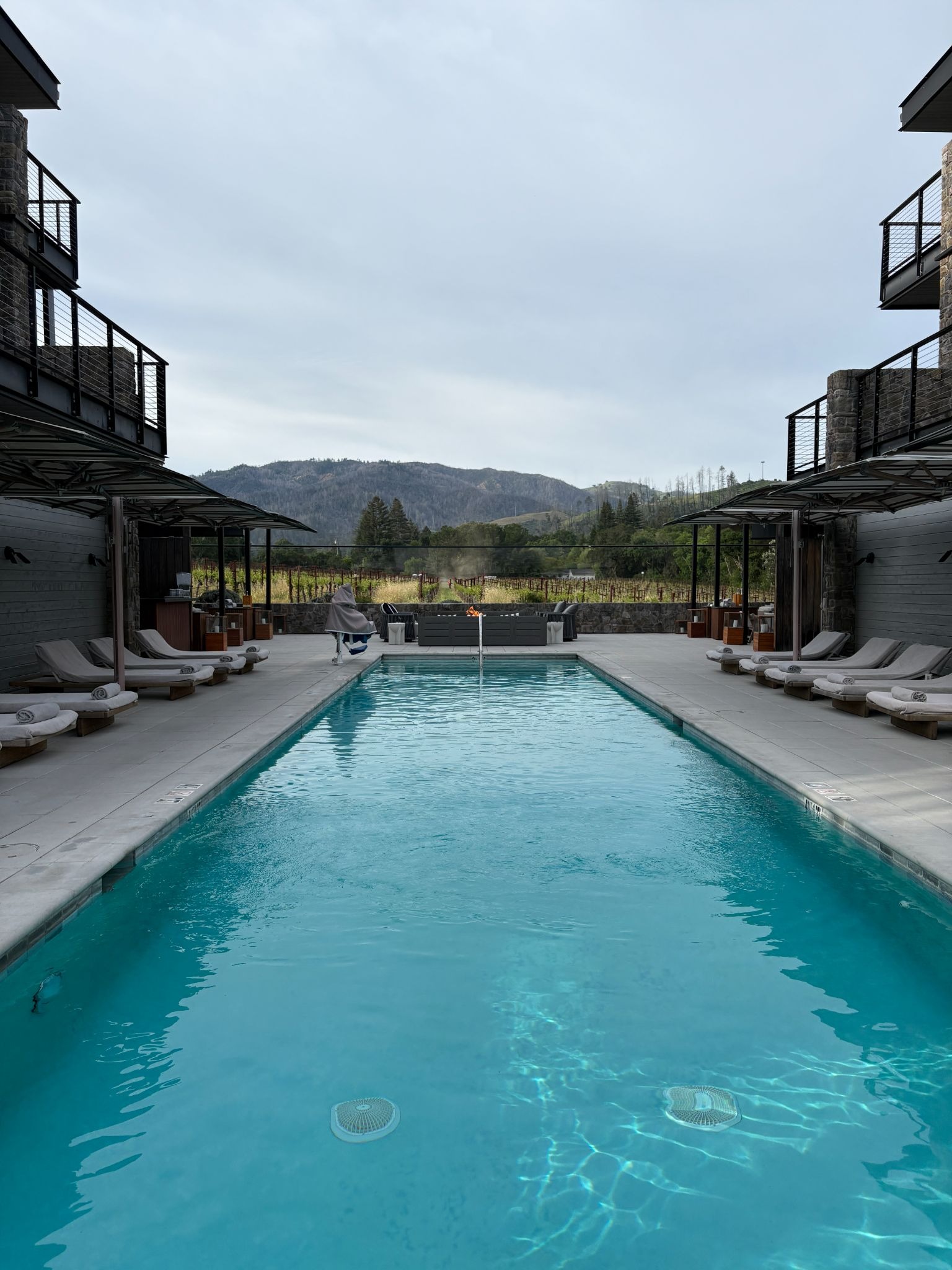 Incredible outdoor heated pool at Alila Napa Valley with a vineyard view
