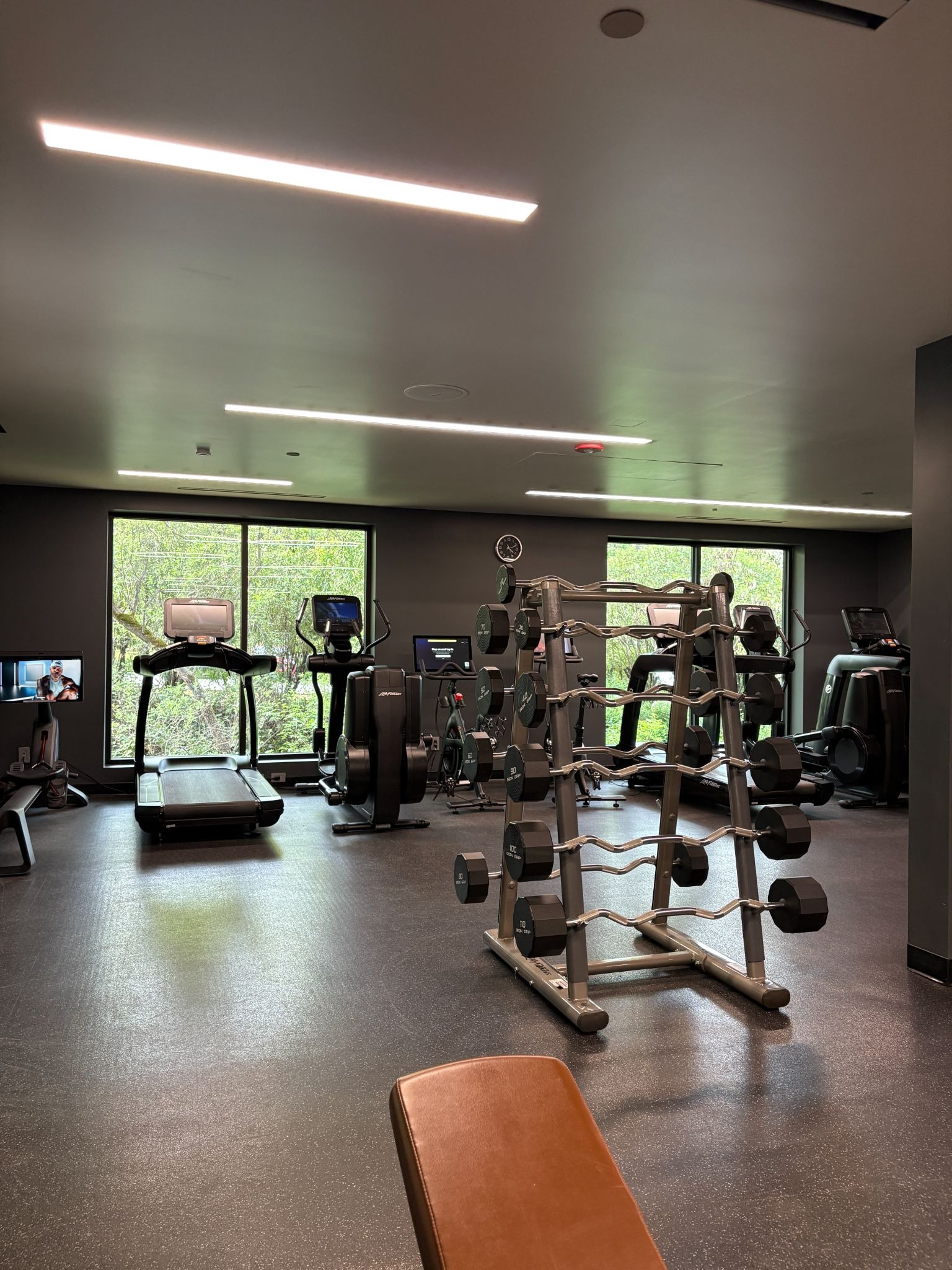 Cardio machines facing the creek at the gym