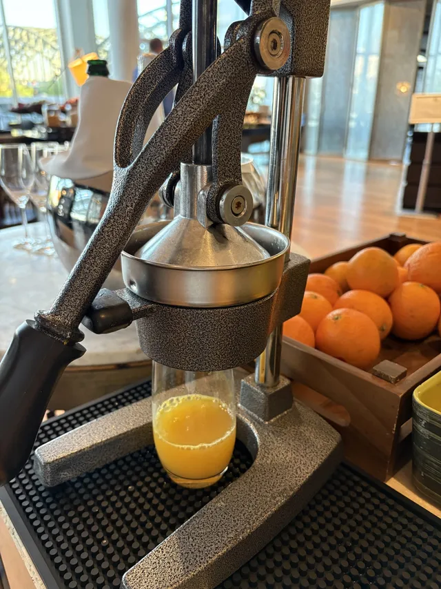 Manual orange juice press
