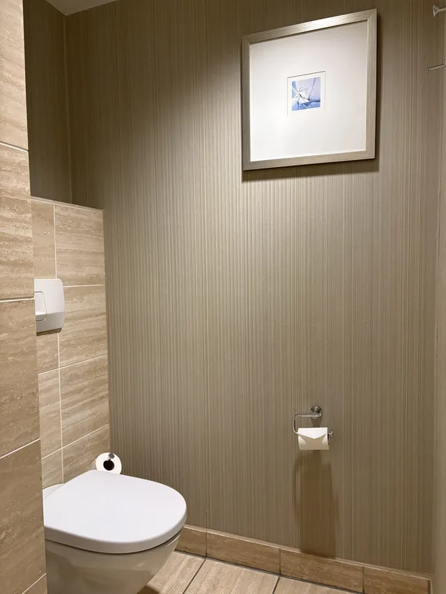 Toilet area