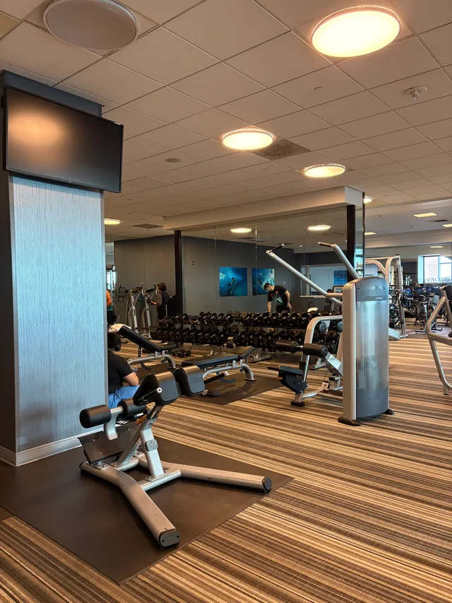 Pick Day3 Gym Freeweights 7373