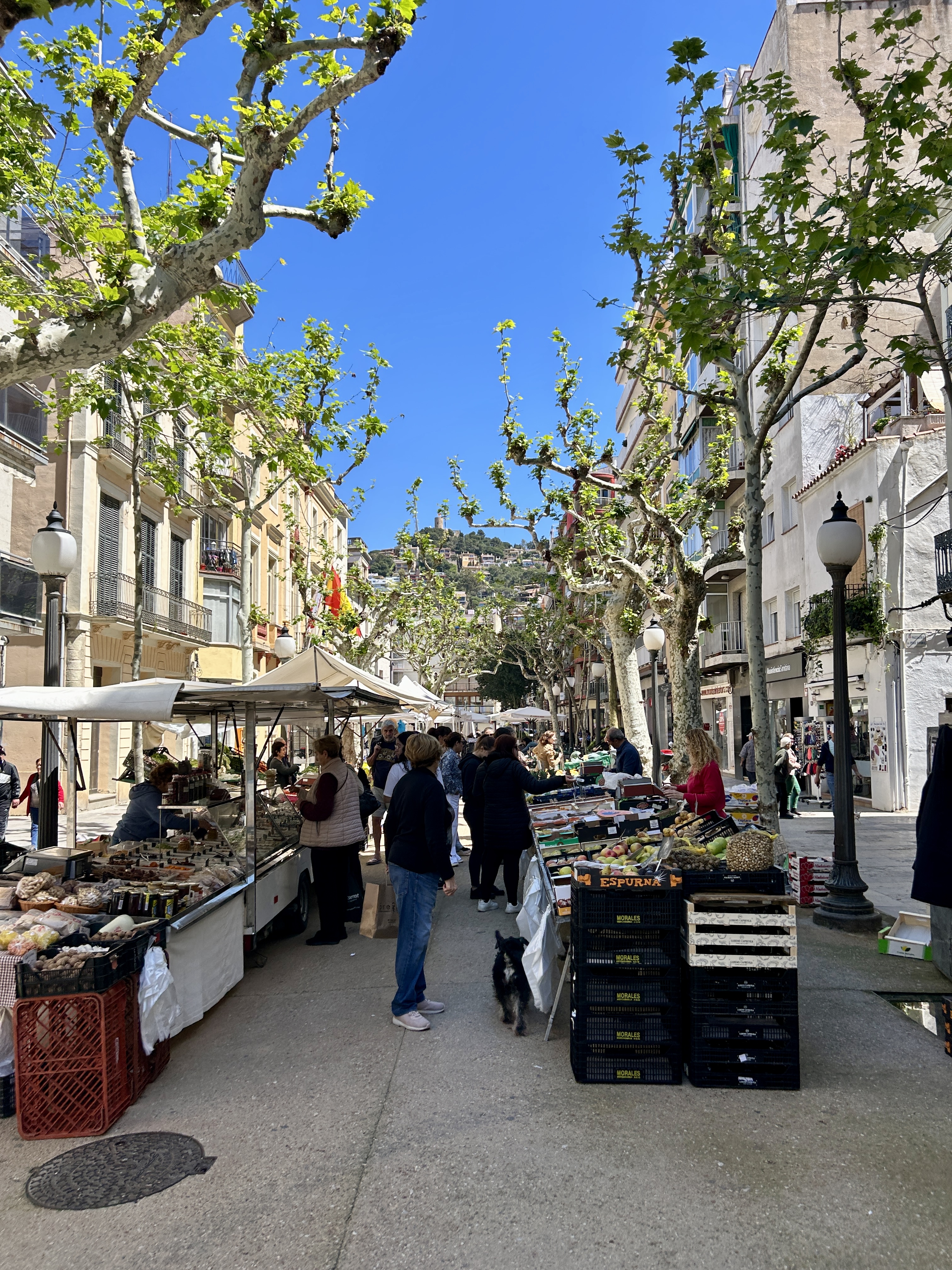 farmer's market @ Blanes